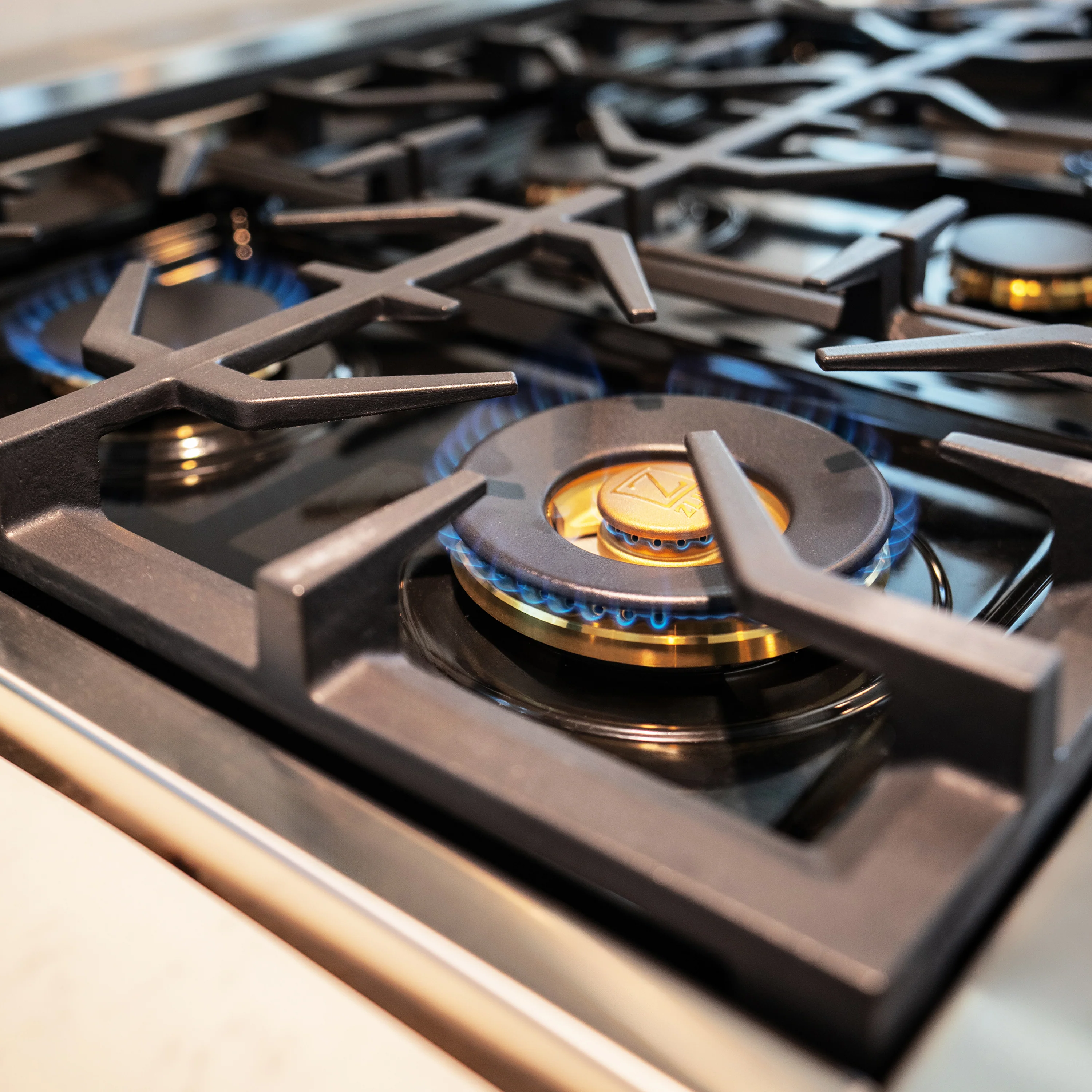 ZLINE 36 in. 4.6 cu. ft. Legacy Dual Fuel Range with Gas Cooktop and Electric Convection Oven in Stainless Steel with 6 Brass Burners (RA-BR-36) - Image 25