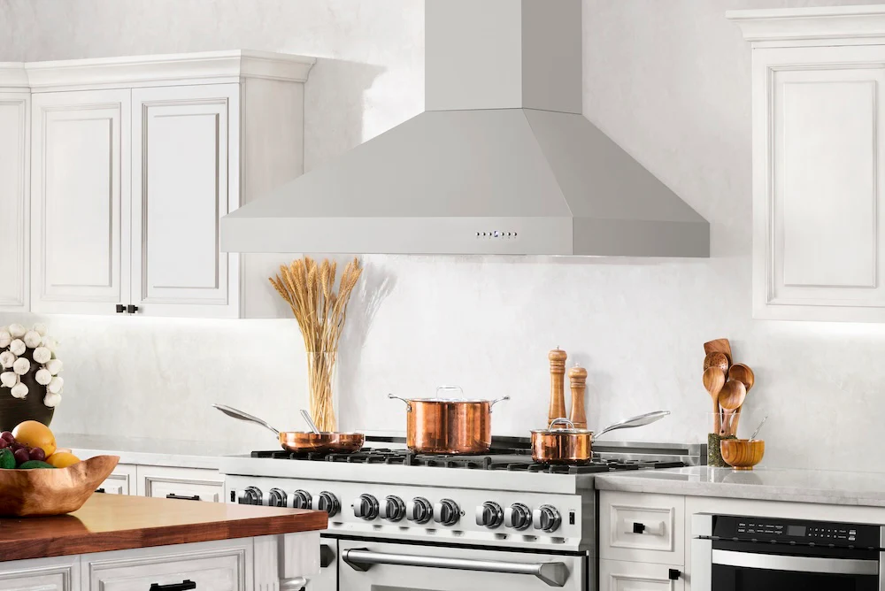 ZLINE 48" Ducted Wall Mount Range Hood in Outdoor Approved Stainless Steel (697-304-48) - Image 2