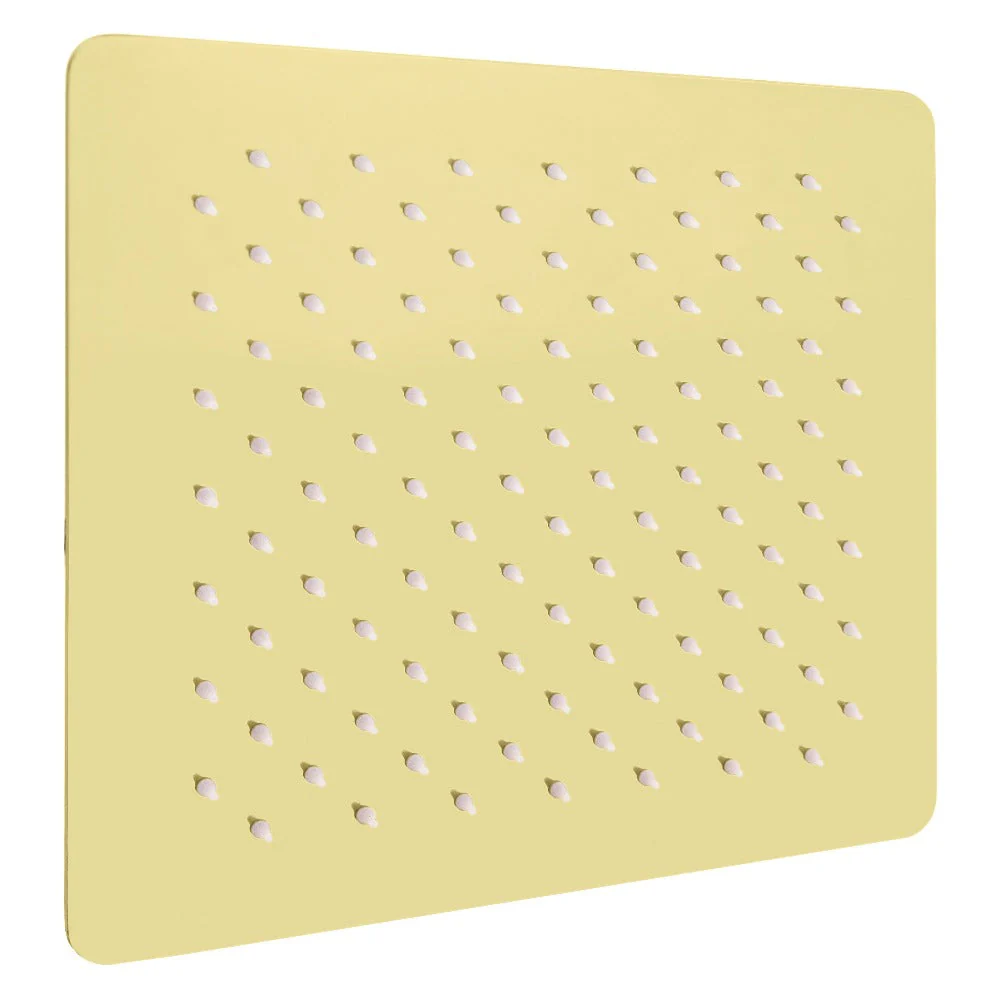 ZLINE Bliss 8 in. Rainfall Shower Head in Polished Gold (BLS-H8-PG)