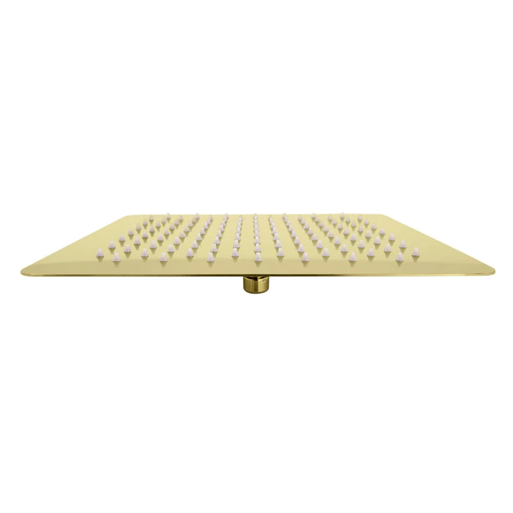 ZLINE Bliss 8 in. Rainfall Shower Head in Polished Gold (BLS-H8-PG) - Image 5