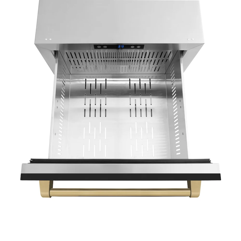 ZLINE Autograph Edition 24 in. Touchstone 168 Can Outdoor-Rated Dual Refrigerator Drawer with Black Matte Doors and Champagne Bronze Handles (RDSOZ-BLM-24-CB) - Image 5