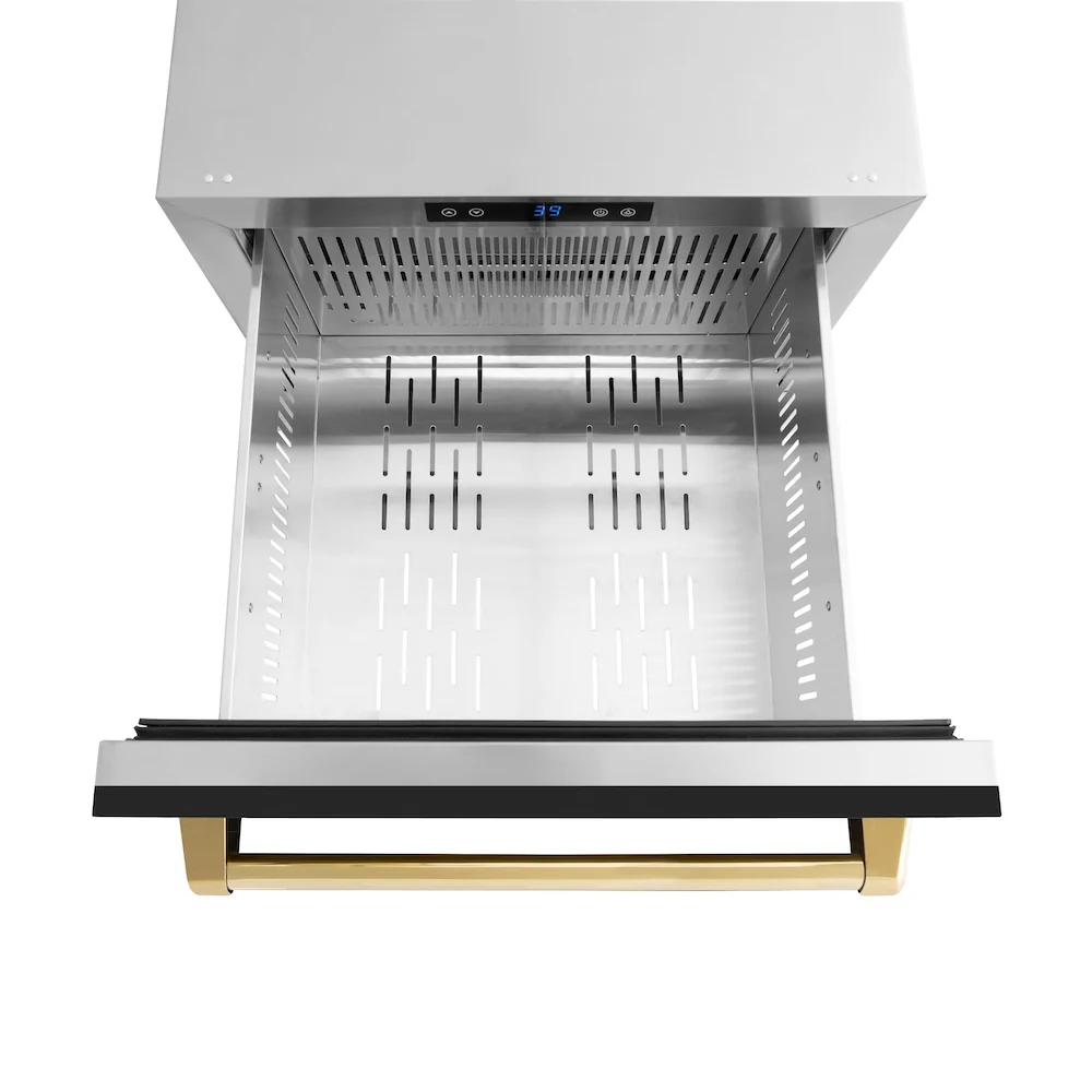 ZLINE Autograph Edition 24 in. Touchstone 168 Can Outdoor-Rated Dual Refrigerator Drawer with Black Matte Doors and Polished Gold Handles (RDSOZ-BLM-24-G) - Image 6
