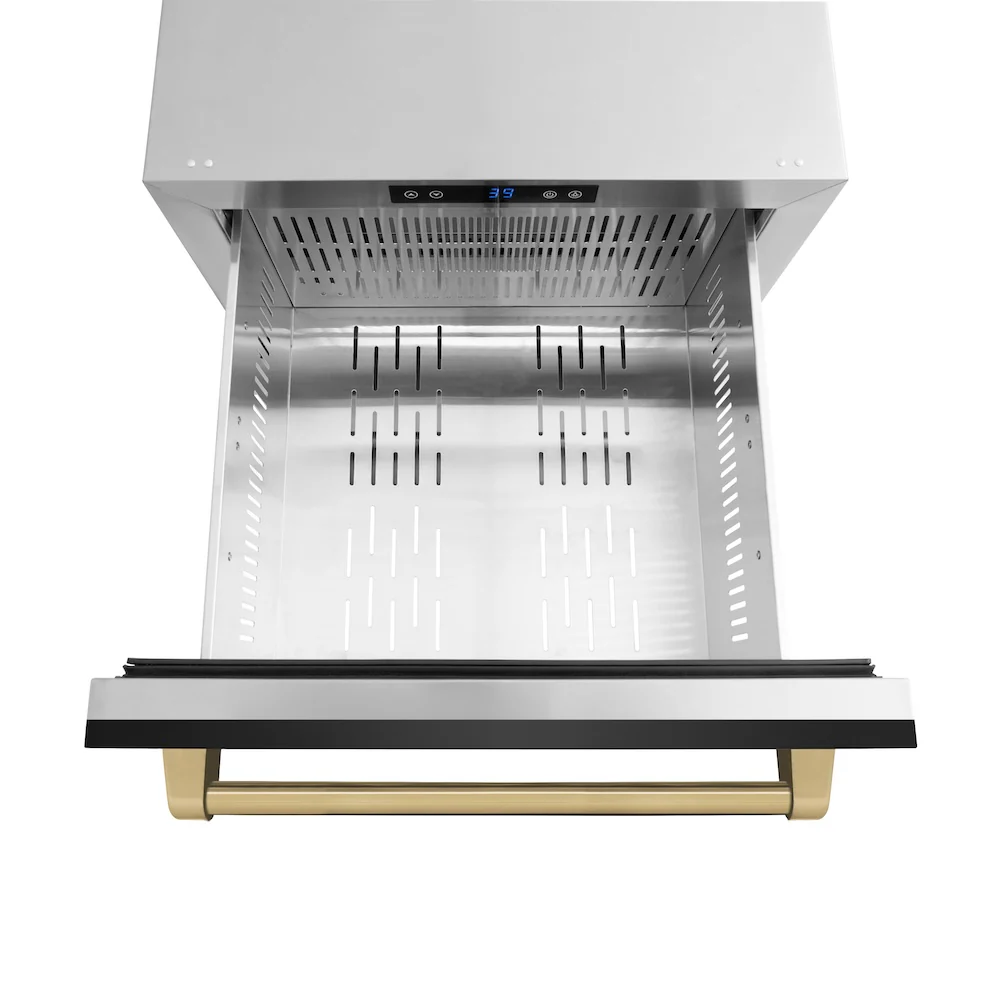 ZLINE Autograph Edition 24 in. Touchstone 168 Can Outdoor-Rated Dual Refrigerator Drawer with Black Stainless Steel Doors and Champagne Bronze Handles (RDSOZ-BS-24-CB) - Image 6