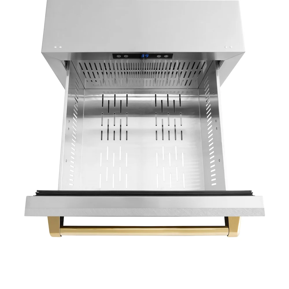 ZLINE Autograph Edition 24 in. Touchstone 168 Can Outdoor-Rated Dual Refrigerator Drawer with Satin Stainless Steel Doors and Polished Gold Handles (RDSOZ-SN-24-G) - Image 6