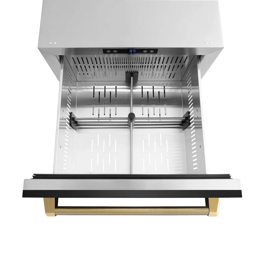ZLINE Autograph Edition 24 in. Touchstone 168 Can Outdoor-Rated Dual Refrigerator Drawer with Black Stainless Steel Doors and Polished Gold Helix Handles (RDSOZ-BS-24-KG) - Image 7