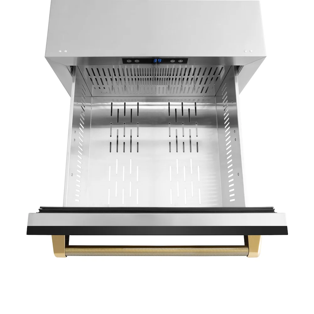 ZLINE Autograph Edition 24 in. Touchstone 168 Can Outdoor-Rated Dual Refrigerator Drawer with Black Stainless Steel Doors and Polished Gold Helix Handles (RDSOZ-BS-24-KG) - Image 8